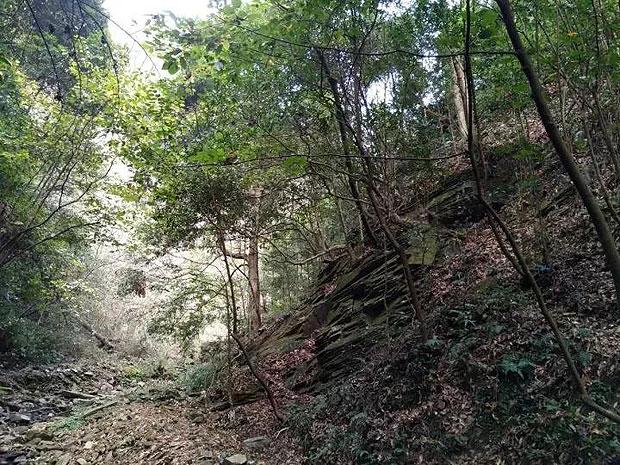 电动蝶阀在关闭位置无法完全密封怎么办?